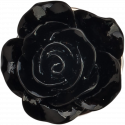 róża czarny