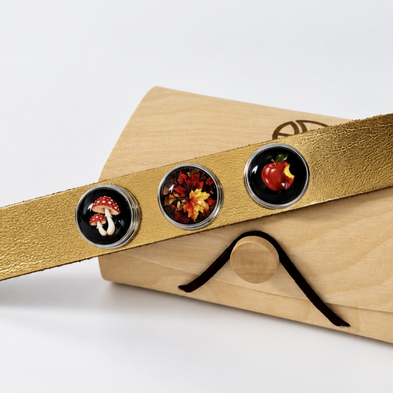 SET bracelet + 3 clicks